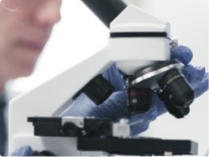 Laboratuvar Test ve Değerlendirmeleri